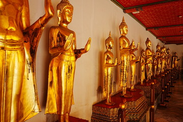 Fototapeta premium Wat Pho in Bangkok, Thailand - タイ バンコク ワットポー