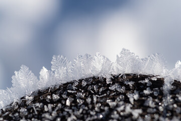 美しい雪の結晶