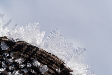 美しい雪の結晶