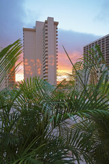 Architecture, building and plants with apartment in city for residential, concrete and villa. Exterior, real estate and urban with loft home for structure, patterns and condominium background