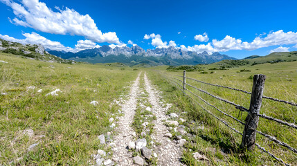 Obraz premium Dirt path leads through a green grassy meadow towards a distant rocky mountain range under a blue sky with white clouds.