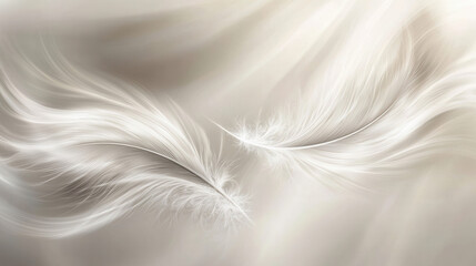 Obraz premium Delicate Wings: Two ethereal white feathers gracefully intertwine against a soft backdrop, evoking a sense of serenity and lightness.