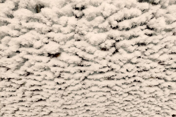 Snow flakes stuck in the form of waves on a white metal sheet. There are rust spots.