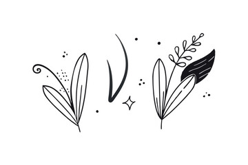 Obraz premium Botanical hand drawn line art and silhouette vector set. Collection of leaf branch, monstera, palm leaves black white drawing contour simple style. Design illustration for print, logo, branding. 