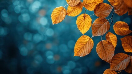 Obraz premium Autumnal Leaves: A Serene Embrace of Golden Hues