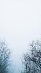 Bare branches reach towards a misty sky, creating a serene winter scene.