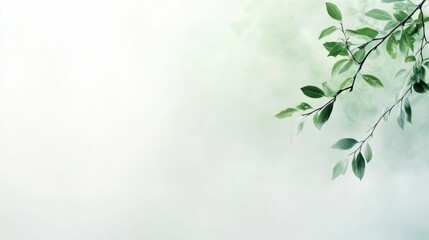 Serene Green Leaves on Soft Background with Gentle Fog Effect