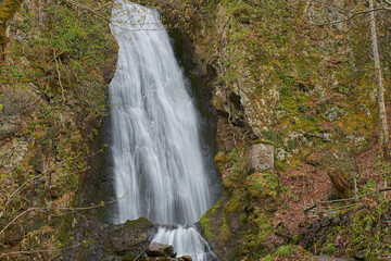 Naklejka premium 不動の滝