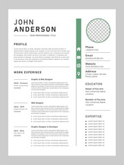 Professional CV Resume Template Design