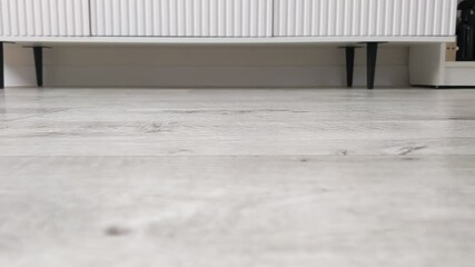 A robot vacuum cleaner vacuums the living room. An automatic robot vacuum cleaner does wet cleaning