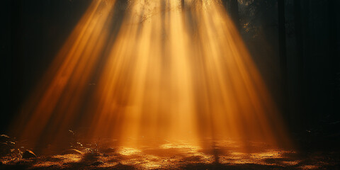 Golden sunlight breaking through the forest during sunset