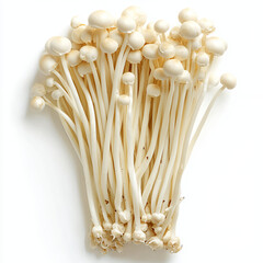 Cluster of pale, slender mushrooms, tightly bunched together.