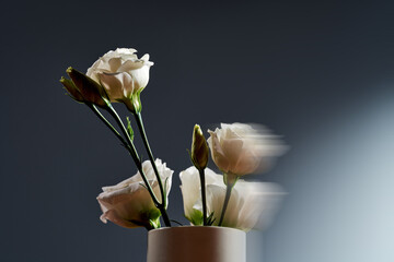 A delicate bunch of white eustoma flowers against a soft grey background. The flowers are in full bloom, with soft petals and vibrant green stems