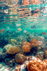 Naklejka na ściany i meble A stunning depiction of the Reef featuring vibrant coral structures, crystal-clear waters, and schools of tropical fish swimming in harmony.