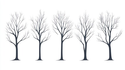 Five bare winter trees, white background, nature design, graphic design element