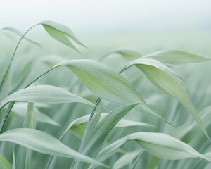 Obraz premium Abstract Nature Background, Soft Green Grass, Dreamy Garden, Pastel Colors, Fresh, Spring, Summer