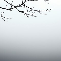 Obraz premium Bare Tree Branch Against a Foggy Grey Sky