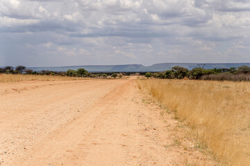 broad dirt road in green desert countryside, near Otjiwarongo,  Namibia