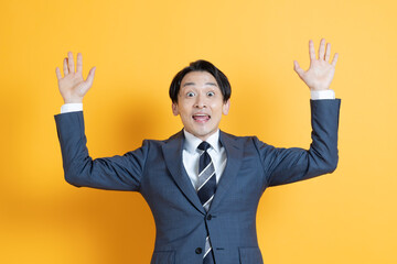 若い日本人ビジネスマン