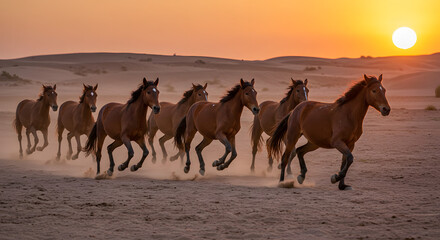 Fototapeta premium Brown Horses Running Together Across the Sandy Desert Horizon PNG