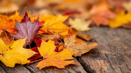 Burnt Orange Autumn Leaves Pile in Soft Sunlight