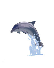 Animal Watercolor Illustration of Dolphin