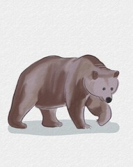 Animal Watercolor Illustration of Bear in White Background