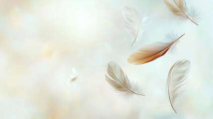 Floating Feathers in Soft Light with Ethereal Background