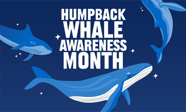 Humpback Whale Awareness Month humpback whale lovers
