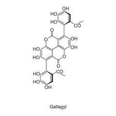 Gallagyl skeletal structure.Tannin compound schematic illustration. Simple diagram, chemical structure.