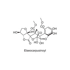 Elaeocarpusinoyl skeletal structure.Tannin compound schematic illustration. Simple diagram, chemical structure.