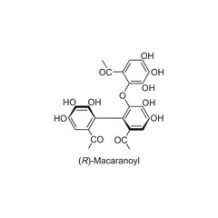 (R)-Macaranoyl skeletal structure.Tannin compound schematic illustration. Simple diagram, chemical structure.
