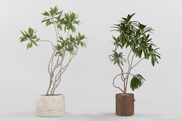 Plant pots in various natural shapes on a white background 3d