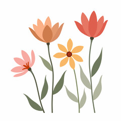 Vector flower collection in simple hand drawn cartoon style. Colorful cute spring flowers set isolated on white. Floral botanical illustration, natural blossom, blooming.