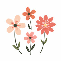 Vector flower collection in simple hand drawn cartoon style. Colorful cute spring flowers set isolated on white. Floral botanical illustration, natural blossom, blooming.