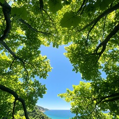 Fototapeta premium Bright Sunlight Through Green Tree Canopy Over Ocean
