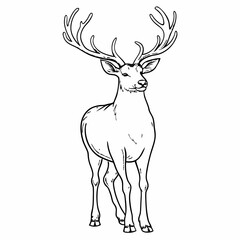 Line Art of Deer with Antlers in Nature, Detailed Animal Drawing