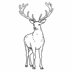 Line Art of Deer with Antlers in Nature, Detailed Animal Drawing