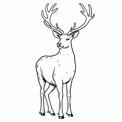 Line Art of Deer with Antlers in Nature, Detailed Animal Drawing