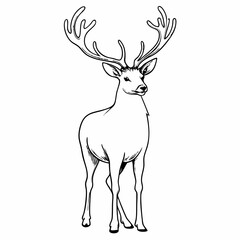 Line Art of Deer with Antlers in Nature, Detailed Animal Drawing