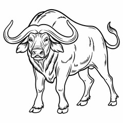 Detailed Line Art of Water Buffalo with Strong Horns and Sturdy Build