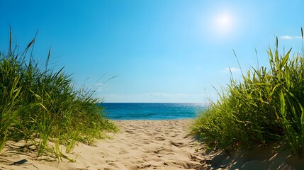 Bright Sunny Beach Path