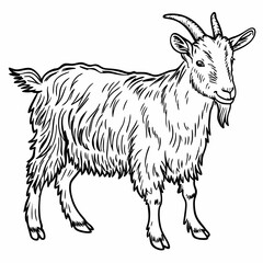 Detailed Line Art of Goat Standing with Fur Texture and Goat Horns