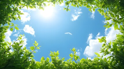 Obraz premium Bright Sunny Day Lush Green Leaves Blue Sky