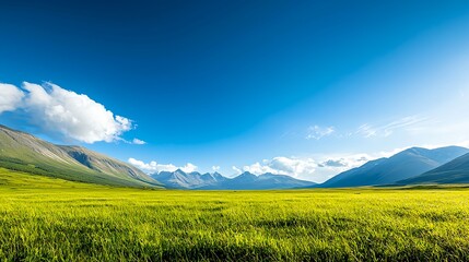 Bright Sunny Day Mountain Landscape