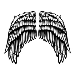 Detailed Line Art of Angel Wings with Soft Feathers and Flowing Design