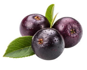 fresh maqui berry and leaf isolated on white background PNG image