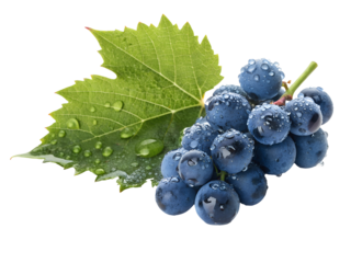 bunch of blue grapes and leaf isolated on white background PNG image