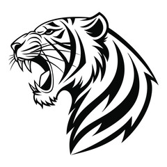 Obraz premium Adobe Illustrator Artwork