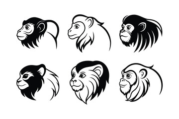 Emperor Tamarin (Saguinus imperator) animal design, labeled line art vector art illustration.